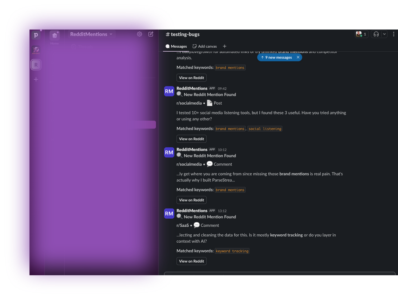 Example of Reddit mention notification in Slack showing keyword highlighting and direct Reddit link